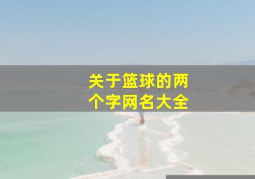 关于篮球的两个字网名大全