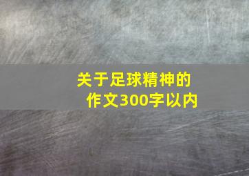 关于足球精神的作文300字以内