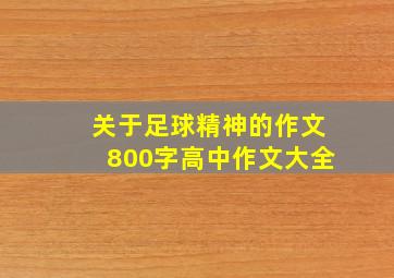 关于足球精神的作文800字高中作文大全