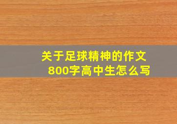 关于足球精神的作文800字高中生怎么写