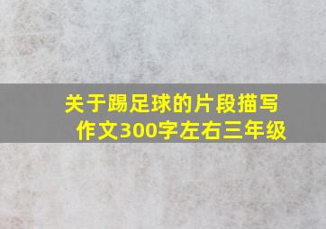 关于踢足球的片段描写作文300字左右三年级