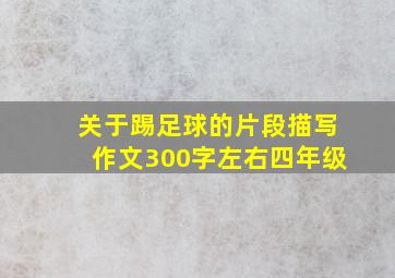 关于踢足球的片段描写作文300字左右四年级