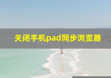 关闭手机pad同步浏览器