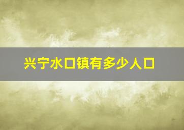 兴宁水口镇有多少人口