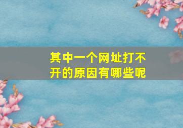 其中一个网址打不开的原因有哪些呢