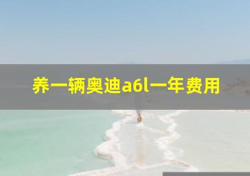 养一辆奥迪a6l一年费用