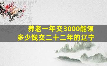 养老一年交3000能领多少钱交二十二年的辽宁