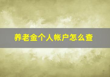 养老金个人帐户怎么查