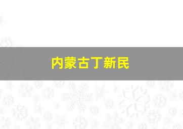 内蒙古丁新民