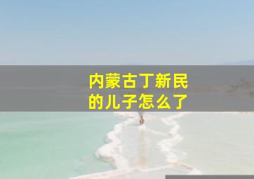 内蒙古丁新民的儿子怎么了