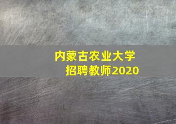 内蒙古农业大学招聘教师2020