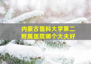 内蒙古医科大学第二附属医院哪个大夫好