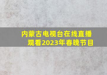 内蒙古电视台在线直播观看2023年春晚节目