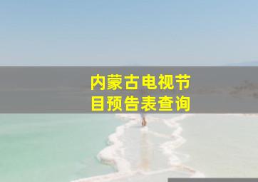 内蒙古电视节目预告表查询