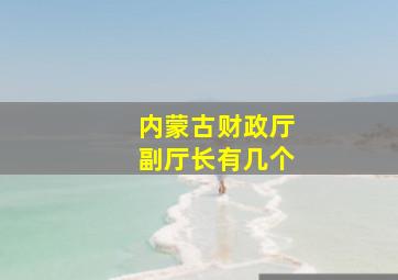 内蒙古财政厅副厅长有几个