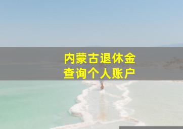 内蒙古退休金查询个人账户