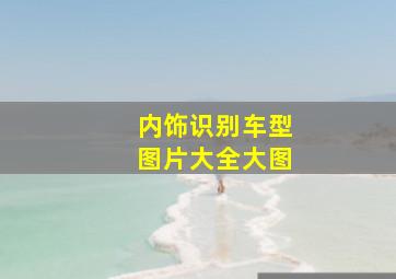 内饰识别车型图片大全大图