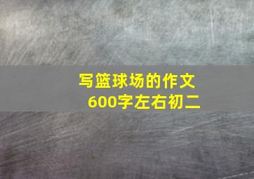 写篮球场的作文600字左右初二