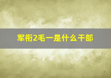 军衔2毛一是什么干部