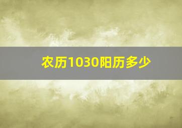 农历1030阳历多少