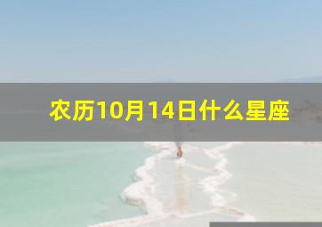 农历10月14日什么星座