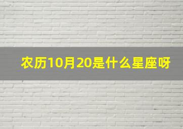 农历10月20是什么星座呀