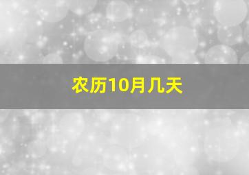 农历10月几天