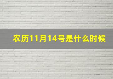 农历11月14号是什么时候