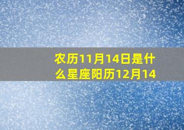 农历11月14日是什么星座阳历12月14