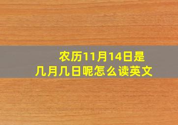 农历11月14日是几月几日呢怎么读英文