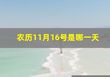 农历11月16号是哪一天