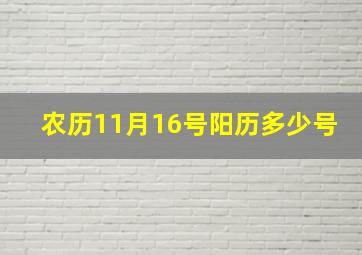 农历11月16号阳历多少号