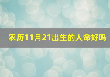 农历11月21出生的人命好吗