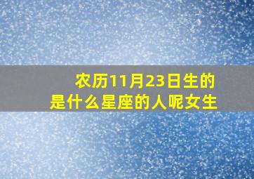 农历11月23日生的是什么星座的人呢女生