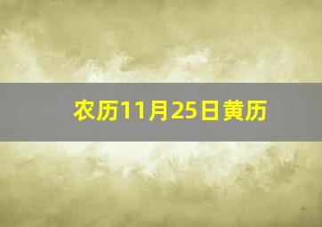 农历11月25日黄历