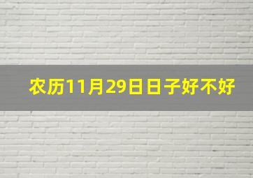 农历11月29日日子好不好