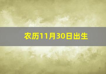 农历11月30日出生