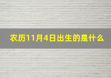 农历11月4日出生的是什么