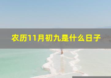 农历11月初九是什么日子