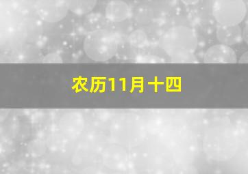 农历11月十四