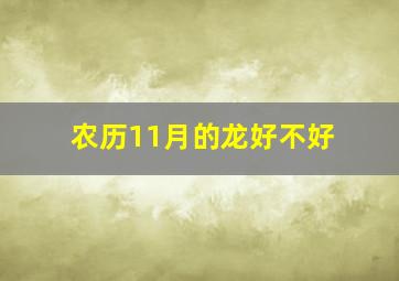 农历11月的龙好不好