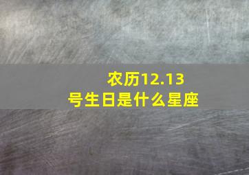 农历12.13号生日是什么星座