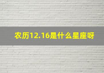 农历12.16是什么星座呀