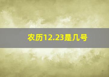 农历12.23是几号