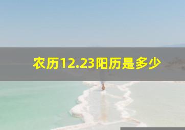 农历12.23阳历是多少