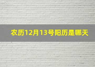 农历12月13号阳历是哪天