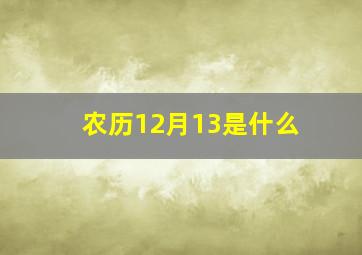 农历12月13是什么