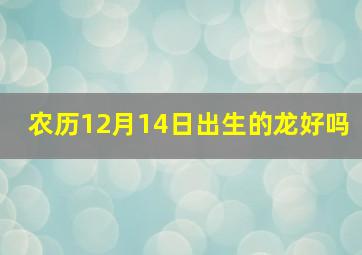 农历12月14日出生的龙好吗