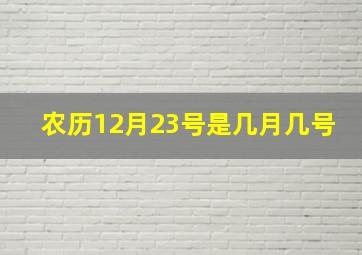 农历12月23号是几月几号