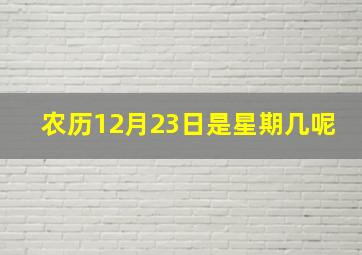 农历12月23日是星期几呢